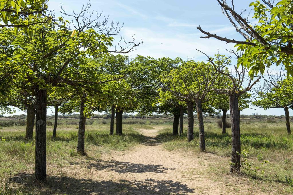 Domaine Les Muriers Vendres Ngoại thất bức ảnh